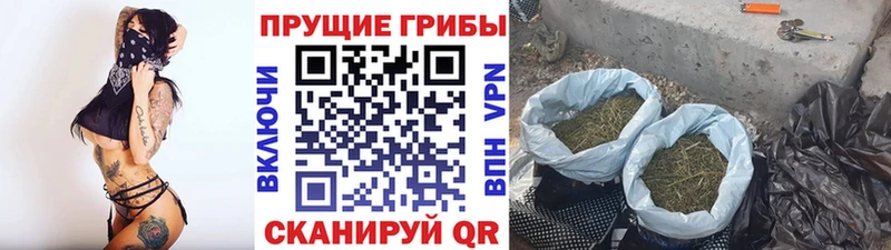 MEGA ТОР  Пыть-Ях  Псилоцибиновые грибы Magic Shrooms 